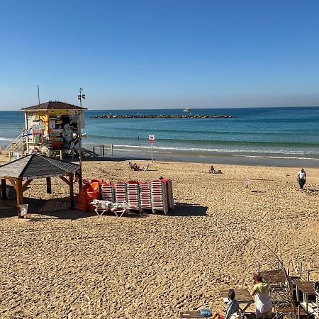 A Little Paradise Near The Sea Tel Aviv Luaran gambar